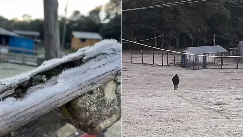 A cidade do Sul de Minas registrou temperatura de -4,6ºC nesta sexta. (Imagens cedidas ao BHAZ/Zé Graia e Suze)